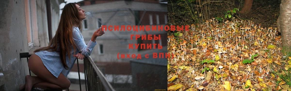 мескалин Нефтегорск