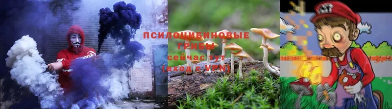 Псилоцибиновые грибы MAGIC MUSHROOMS  сколько стоит  мориарти телеграм  Кемь 